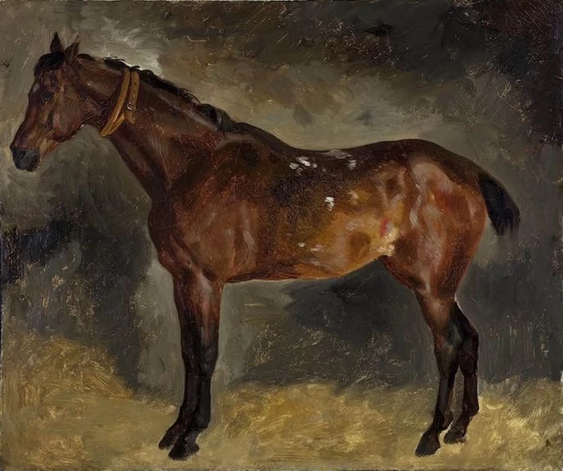Cavallo